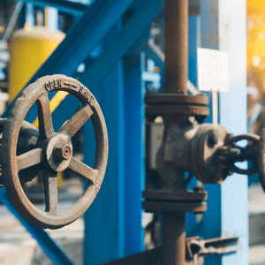 Globe Valve