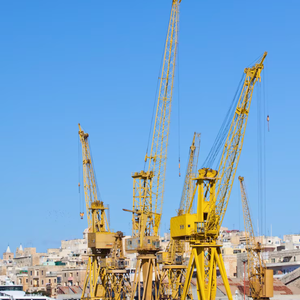 Cranes Cranes